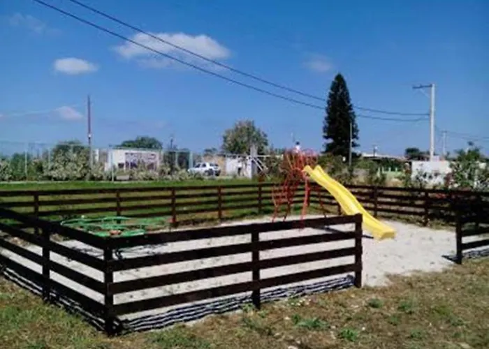 Garden Image 2* Тигаки